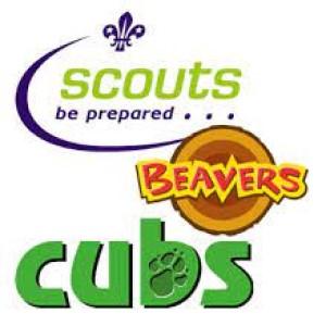Scouts cubs beavers